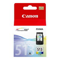Canon CL-513 2971B007 Renkli (Color) Yüksek Kapasiteli Orijinal Kartuş